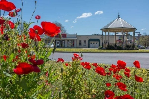 Rotunda on Market Square